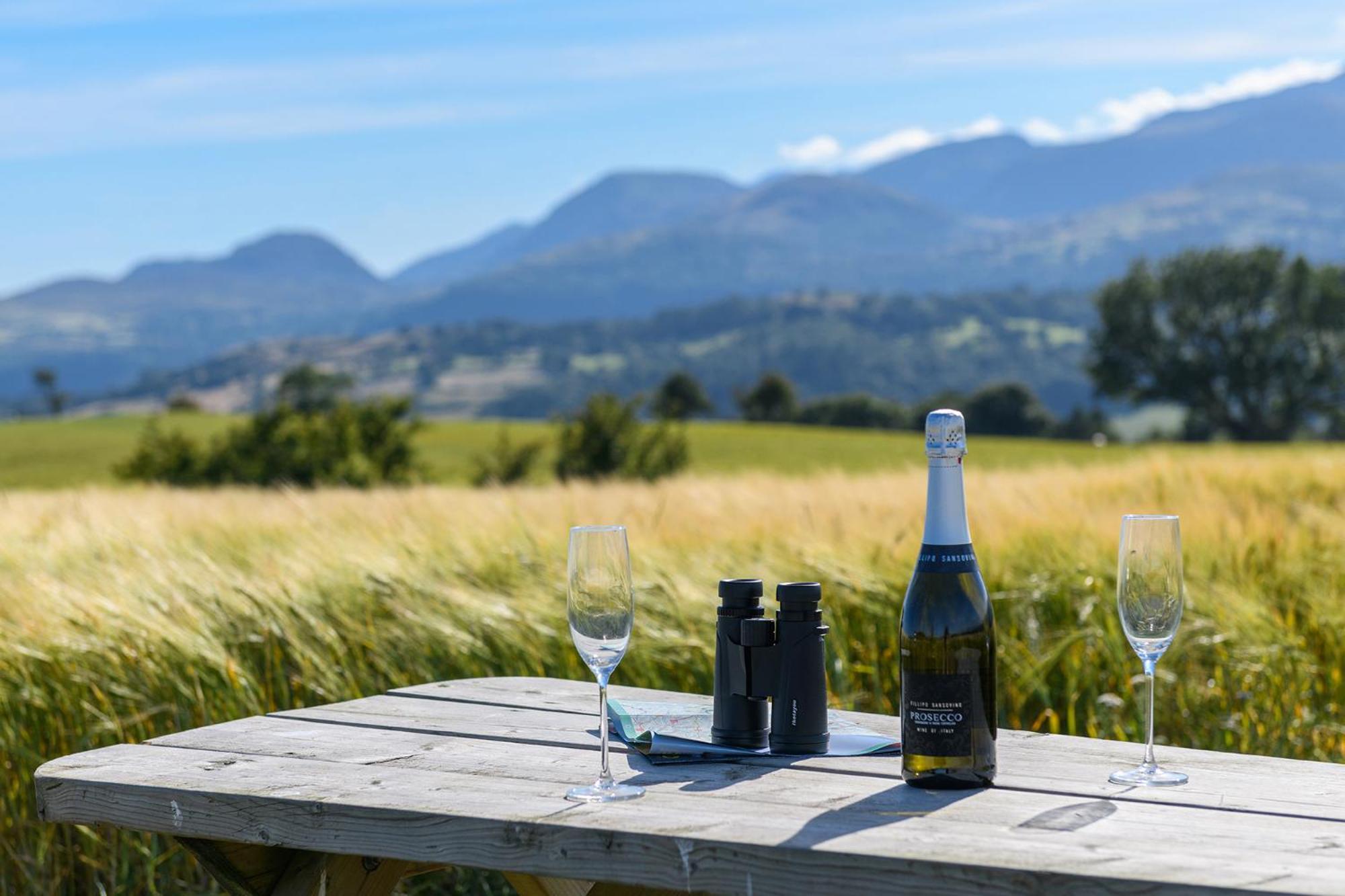 Waenfechan Glamping With Hot Tubs Colwyn Bay Exteriör bild
